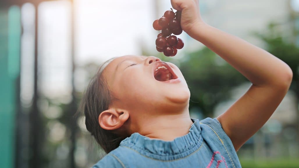 Research Suggests Fresh Grapes are a Superfood