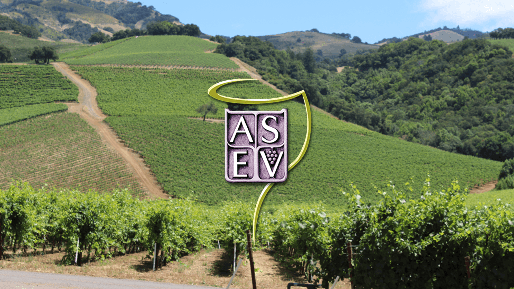 ASEV Awards $95,500 in Scholarships to 20 Students