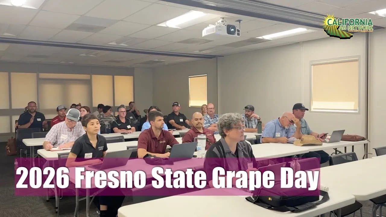 2026 Fresno State Grape Day Kicks Off Grape Harvest