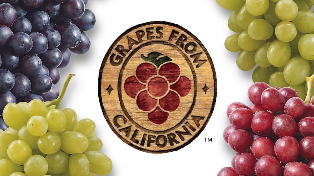 California table grape scholarships